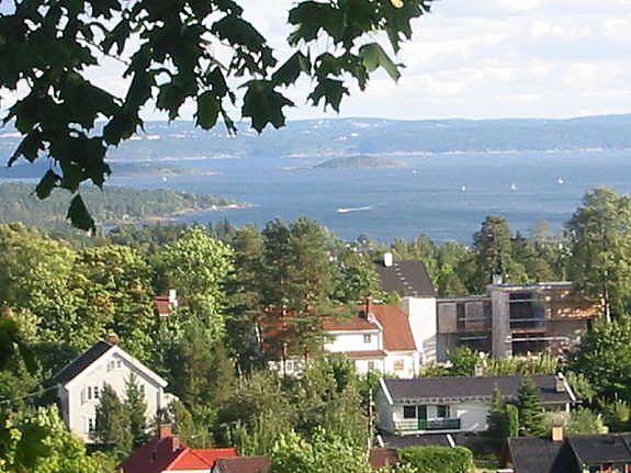 Utsikt fra kjøkken/stue/soverom