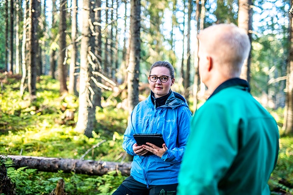 Bilde 3 av 5 i jobbannonse-galleriet