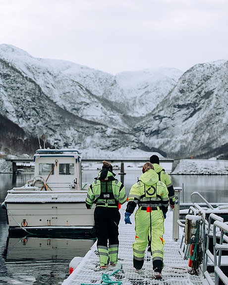 Bilde 7 av 7 i jobbannonse-galleriet