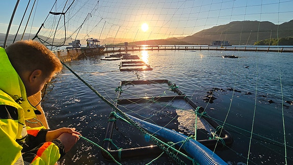 Bilde 1 av 8 i jobbannonse-galleriet