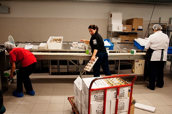 Bilde 2 av 6 i jobbannonse-galleriet