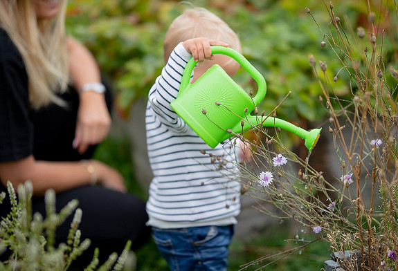 Vi trenger en dyktig pedagog i "vår hage"