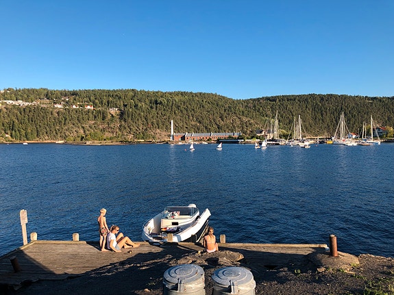 Solid og sjøsterk familiebåt – Evinrude 130 hk – nylig storservice 6 of 13