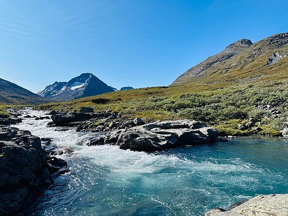 Bilde 3 av 4 i jobbannonse-galleriet