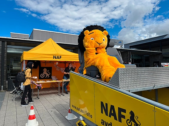 Bilde 2 av 3 i jobbannonse-galleriet