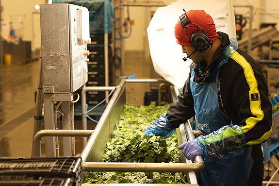 Bilde 8 av 8 i jobbannonse-galleriet