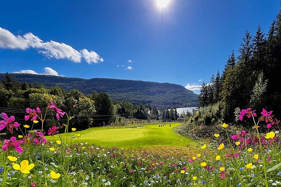 Bilde 2 av 2 i jobbannonse-galleriet