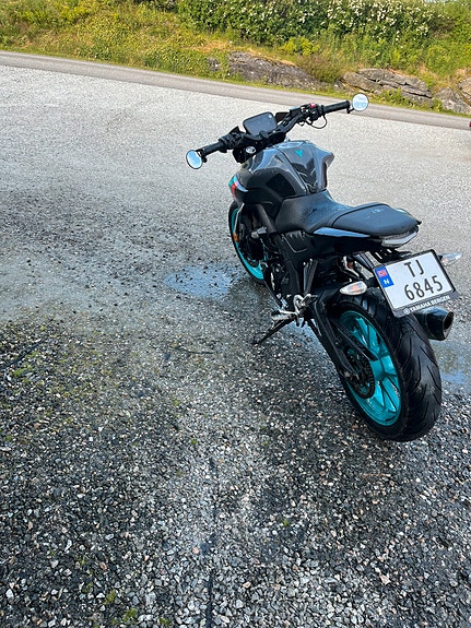 Yamaha MT-125 5 of 22
