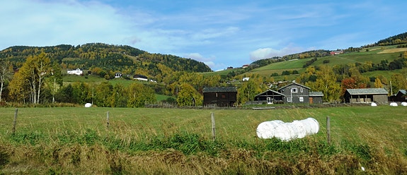 Bilde 1 av 2 i jobbannonse-galleriet