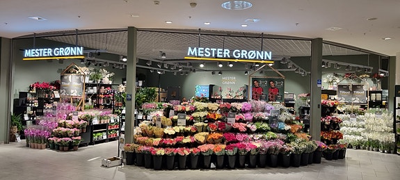 Bilde 3 av 5 i jobbannonse-galleriet