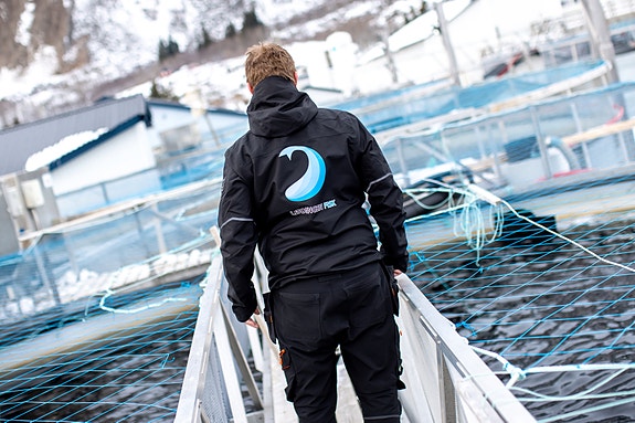 Bilde 2 av 2 i jobbannonse-galleriet