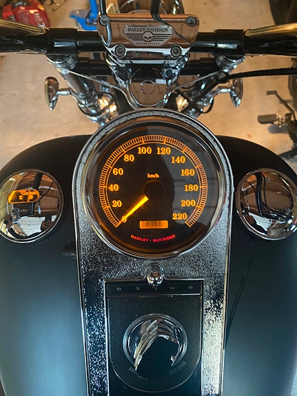 Harley-Davidson FXST Softail Standard / Custom 12 of 19