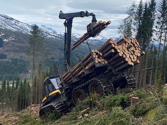 Bilde 4 av 6 i jobbannonse-galleriet