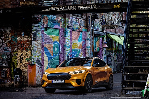 Bilde 4 av 9 i jobbannonse-galleriet