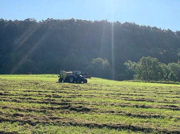 Bilde 2 av 5 i jobbannonse-galleriet