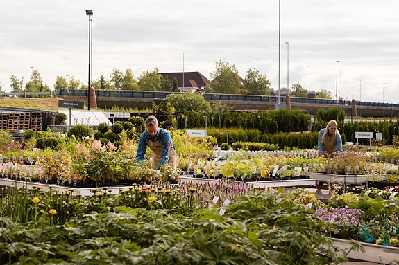 Bilde 1 av 1 i jobbannonse-galleriet