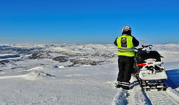 Bilde 2 av 2 i jobbannonse-galleriet