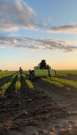 Bilde 3 av 3 i jobbannonse-galleriet