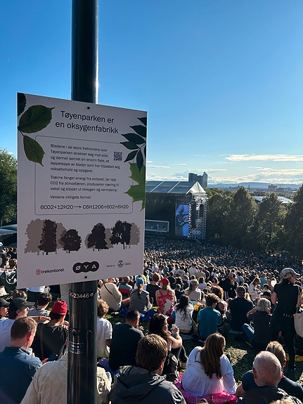 Formidling av informasjon om trær på arrangementer