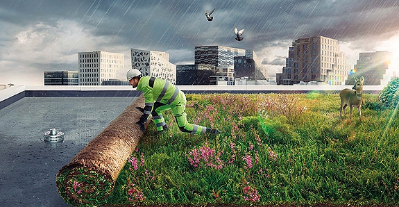 Bilde 1 av 4 i jobbannonse-galleriet