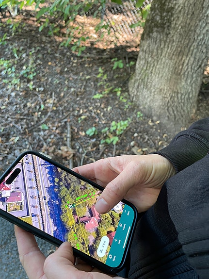 Registering og tilsvandsvurdering av trær i felt