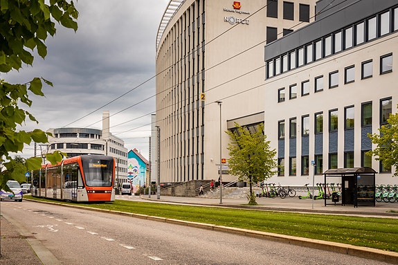 Bilde 1 av 3 i jobbannonse-galleriet