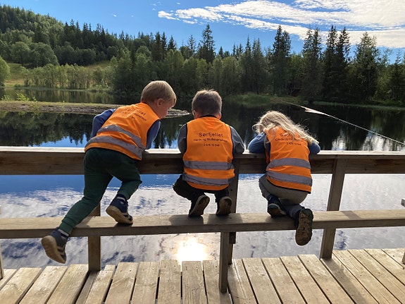 Bilde 2 av 10 i jobbannonse-galleriet