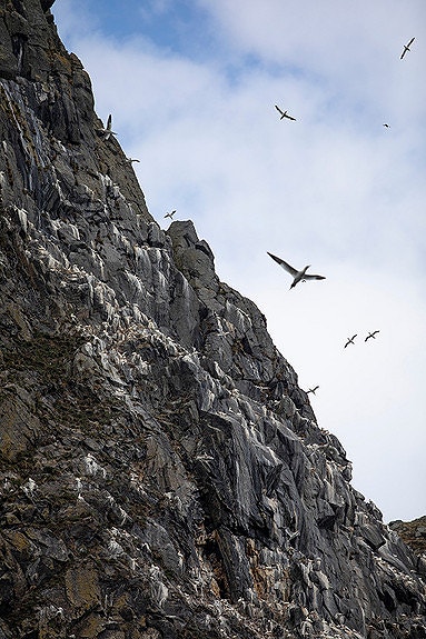 Bilde 7 av 7 i jobbannonse-galleriet