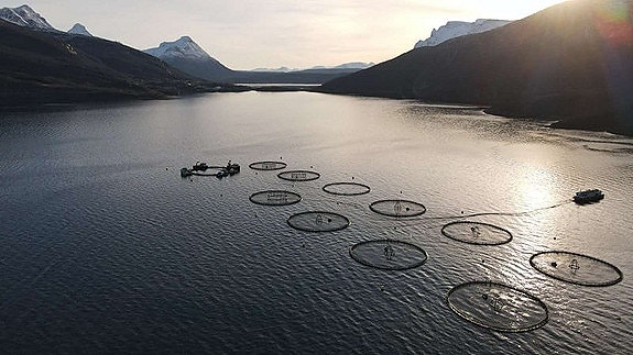 Bilde 5 av 8 i jobbannonse-galleriet