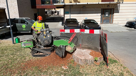 Bilde 6 av 7 i jobbannonse-galleriet