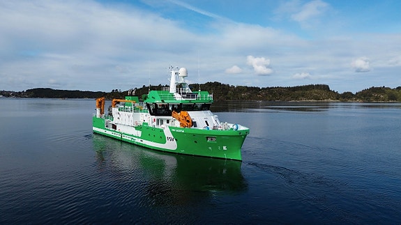 Bilde 1 av 1 i jobbannonse-galleriet