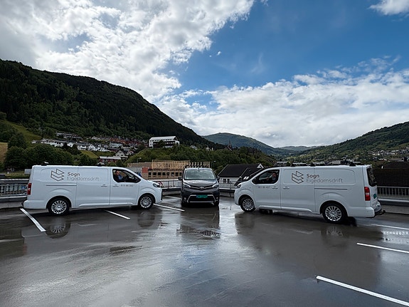 Einarsen Eigedom sitt dotterselskap, Sogn Eigedomsdrift, driftar selskapets eigedomar og fleire andre eksterne eigedomar, sameige og burettslag.