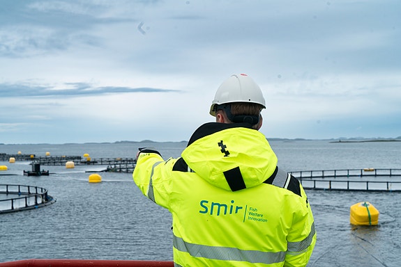 Bilde 1 av 3 i jobbannonse-galleriet