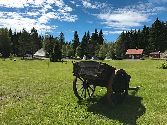 Bilde 1 av 1 i jobbannonse-galleriet