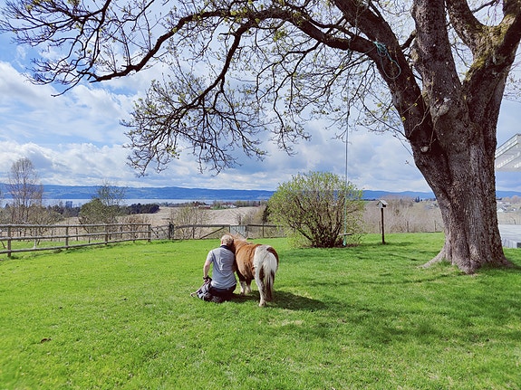 Bilde 1 av 5 i jobbannonse-galleriet