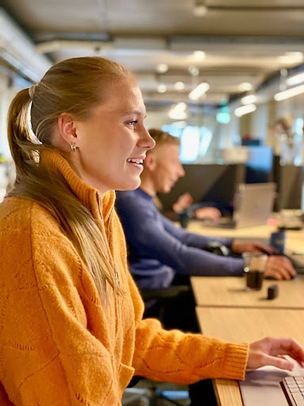 Bilde 2 av 2 i jobbannonse-galleriet