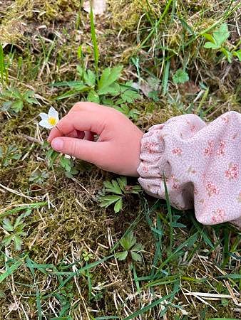 Bilde 3 av 5 i jobbannonse-galleriet