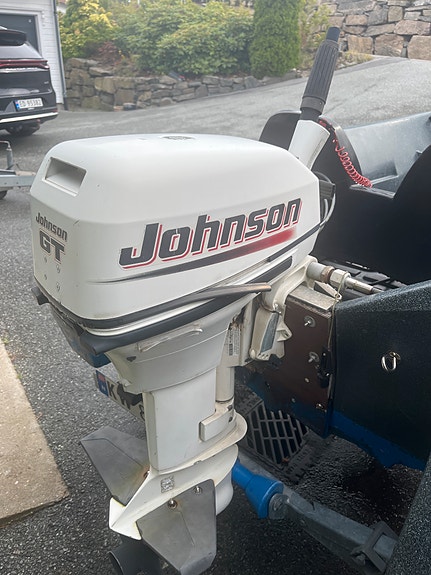 River 290 med Johnson gt og tiki henger 2 of 3