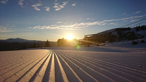 Bilde 1 av 4 i jobbannonse-galleriet