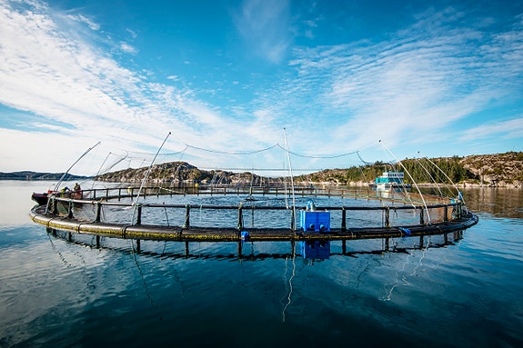 Bilde 1 av 5 i jobbannonse-galleriet