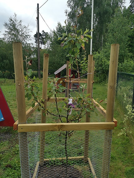 Bilde 10 av 10 i jobbannonse-galleriet