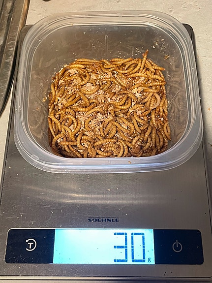 Product image 9 of 10