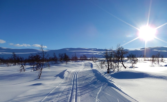 Bilde 7 av 10 i jobbannonse-galleriet
