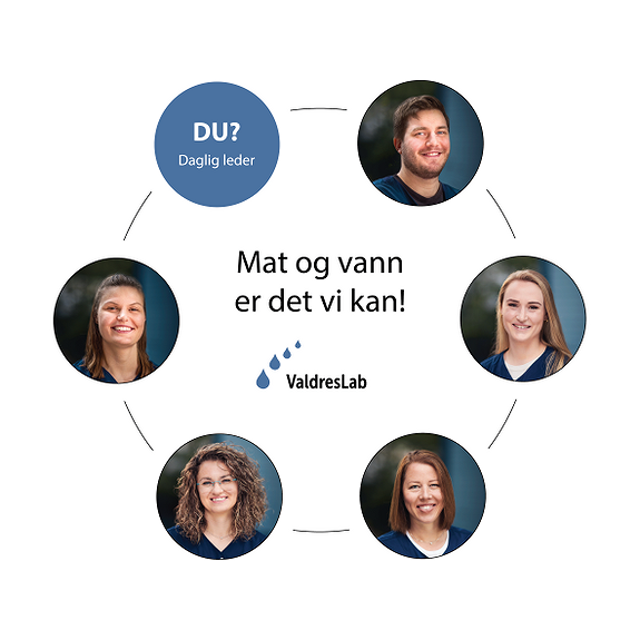 Vil du lede vårt team?