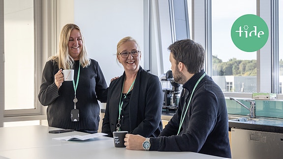 Bilde 1 av 1 i jobbannonse-galleriet