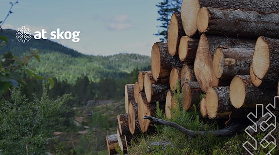 Bilde 2 av 2 i jobbannonse-galleriet