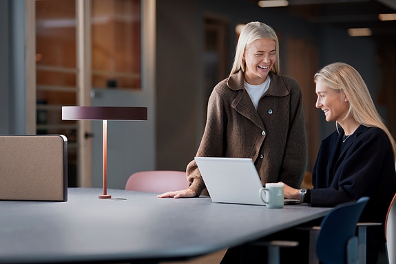 Bilde 2 av 4 i jobbannonse-galleriet