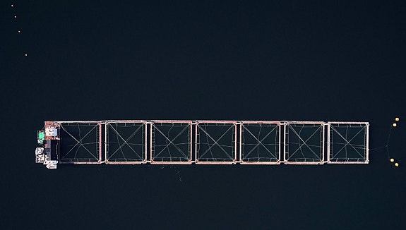 Bilde 1 av 6 i jobbannonse-galleriet