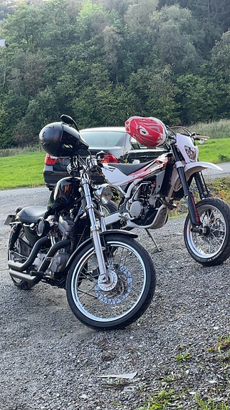 Harley-Davidson XL 883 Sportster 5 of 10