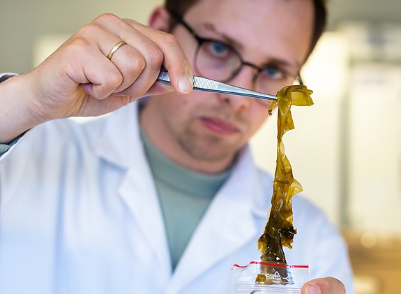 Bilde 2 av 2 i jobbannonse-galleriet